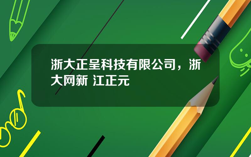 浙大正呈科技有限公司，浙大网新 江正元